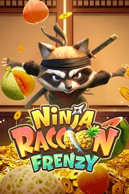 Ninja Raccoon Frenzy